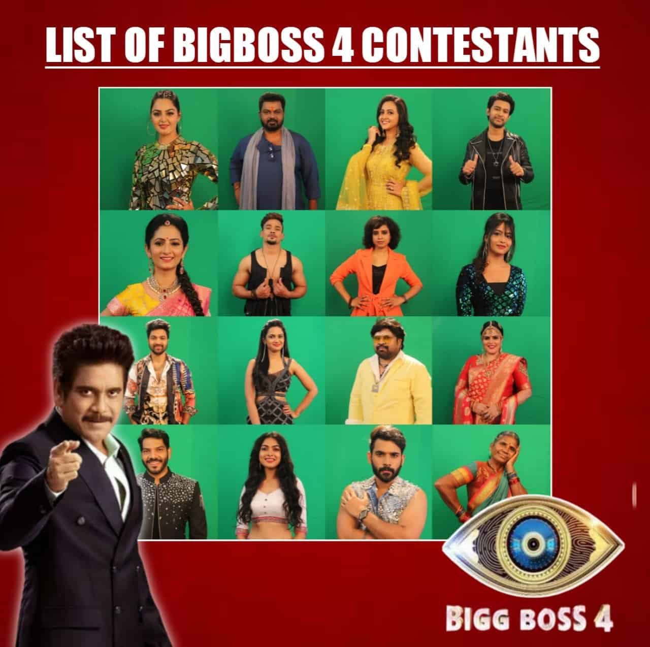 Bigg boss 4 Contestants