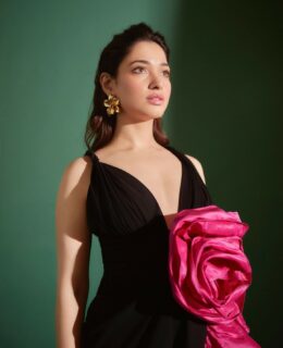 <strong>Pic Talk: Tamannaah Sizzles In Deep Neck Gown</strong>