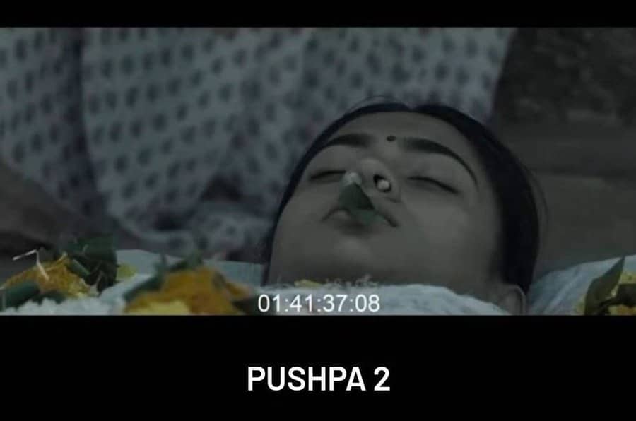 Fact Check: Not Rashmika And Not From Pushpa 2!