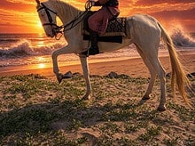 Nikhil